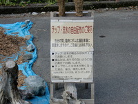 ファイル 555-5.jpg