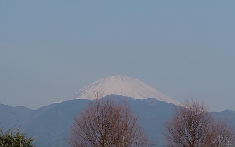 4454-1.jpg