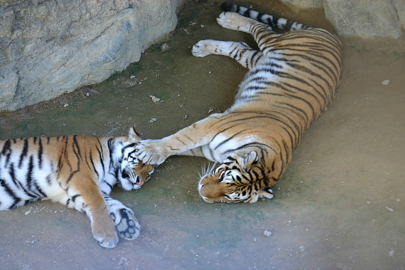 563-2.jpg
